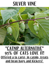Natural Matatabi  Sticks -Cat Chew Toy-  Grown in USA