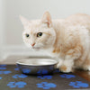Placemats for Kitties -Proudly Made in USA